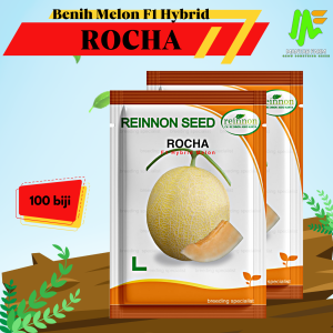 Benih Bibit Melon Orange F1 Hybrid - ROCHA - Reinnon Seed