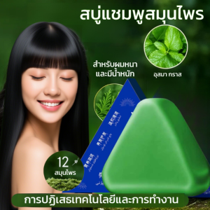 แชมพูใบ แพลทิคลาดัส โอเรียนทัลลิส สบู่ แชมพู สบู่หญ้า อุสมาน โพลีโกนัม มัลติฟลอรัม แชมพูทำมือ แข็งแรง ป้องกันผมแตกปลาย ควบคุมความมัน ขจัดรังแค