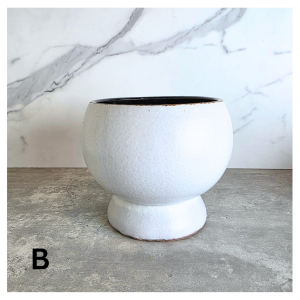 The Leaferie Olea plant pots Ceramic flowerpot flowerpots flower pot planter