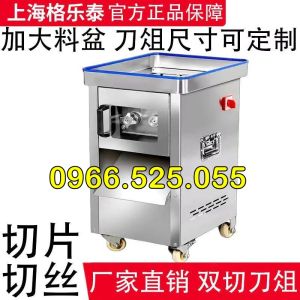 ( HÀNG CHÍNH HÃNG) Máy Thái Thịt Tươi Sống DQ 300 Công Nghiệp