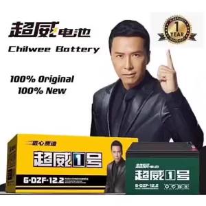 CHILWEE ELECTIC BIKE BATTERY 100% ORIGINAL