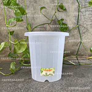 Pot Bunga Tanaman Tinggi Ypt 15 Yogap Bening Bahan Tebal - YOGAP YPT 15 BENING TRANSPARAN