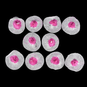 Eixiu 10ชิ้นโคมไฟตาข่ายสำหรับตั้งแคมป์โคมไฟแมนเทิลโคมไฟพาราฟินฝาครอบแก๊ส