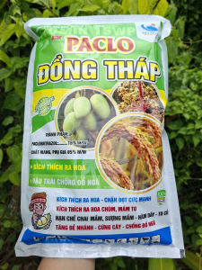 [VTNN TIEN KHOA] PACLO ĐỒNG THÁP 15WP 1KG kích thích phân hóa mầm hoa hỗ trợ ra hoa hạn chế chiều cao và chống đổ ngã