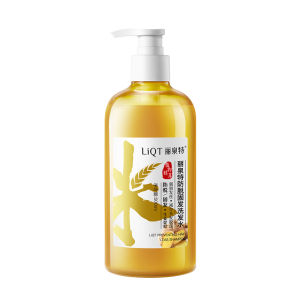 Hair growth shampoo Hair loss shampoo Anti dandruff shampoo500ml/box Ginger anti -hair loss Stimulate hair follicles to promote hair growth