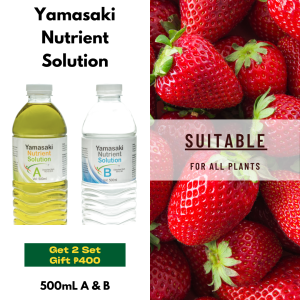 Yamasaki Nutrient Solution 1L | fertilizer for plant hydroponics solution snap solution 001