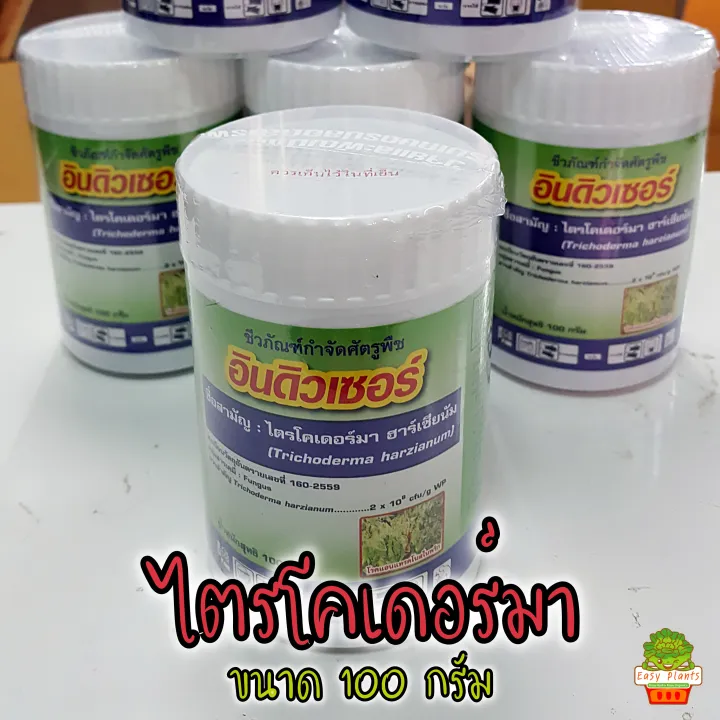 ไตรโคเดอร์ม่า อินดิวเซอร์ ชนิดผง กันเชื้อรา รากเน่า