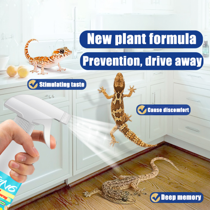 Safety Lizard 【Refund Guaranteed】🦎 10 Years, No Lizards / cicak / gecko Lizard ...