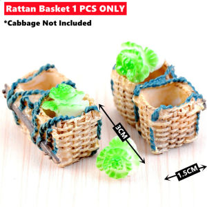 FY Miniature for Succulent Terrarium Bonsai Cake Mini Cute Decor for Plant Rabbit Carrot House  Hiasan Succulent Kaktus