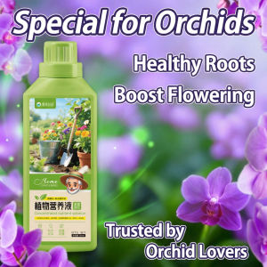 ⚡5X Flowers⚡Orchid fertilizer Baja orkid gemuk dan bunga baja bunga orkid Supplement nutrition and bloom quickly 500ml
