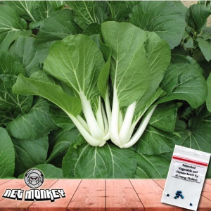 Pechay Seeds Black Behi Tagalog by Condor (50 Seeds)
