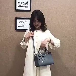 AW Carlisle Korean fashion hand bag (with sling )