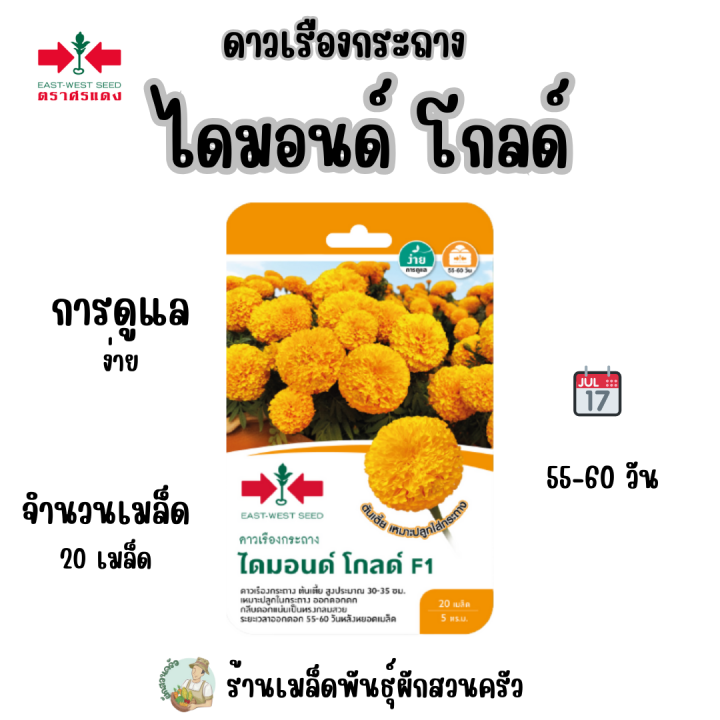 เมล็ดดาวเรืองกระถาง ไดมอนด์ โกลด์ F1 ศรแดง สำหรับประดับสวน