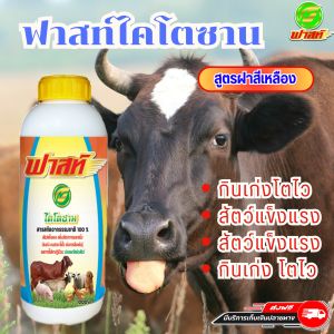 เสริมสร้างภูมิคุ้มกันให้สัตว์ เพิ่มอัตราการแลกเนื้อ ฟาสท์ริช168 ฟาสท์ไคโตซานฝาสีเหลือง 1 ขวด สินค้าพร้อมจัดส่งใน 1 วัน สินค้าจัดส่งจากบริษัทของแท้100%