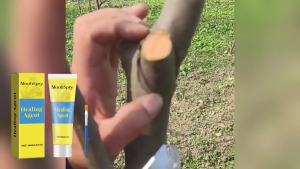 【Ready Stock】MoonSpry   Plant Wound Care Balm – Sealant for Trees Shrubs & Vines Promotes Natural Recovery After Pruning 100g