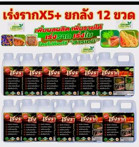 น้ำยาเสริมราก X5+ สำหรับปุ๋ยออร์แกนิก ยกลัง 12 แกลอน สูตรธรรมชาติ ไร้สารเคมี สำหรับสวนและเมือง