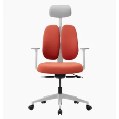 DUOREST Gold Renewal Ergonomic Office Chair - Dual Backrest Posture Correction