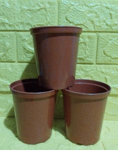 3 pcs. /set – Premium Quality Plastic Hard Orange Pot (Ht. 4.5 Inches Opening 4 inches) ] Plus [FREE 1 Pack Cocopeat or Ipa or 1 Pc Philodendron cutting randomly picked by Seller]