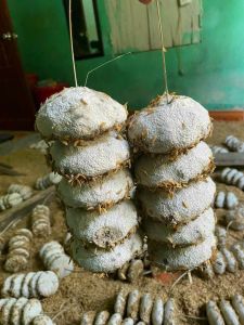 1kg men lá ủ cơm rượu truyền thống Lạng Sơn (tương ứng với 20 quả men)