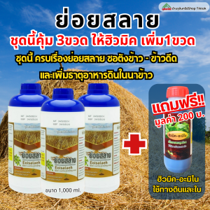 ย่อยสลาย ฟางตอซังข้าว ชุด3แถมฮิวมิค1ขวด ไม่ต้องเผา คุ้ม ส่งไว ส่งฟรี เจ้าของเดียวกับ ดินเน่า