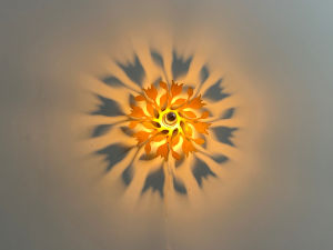 Đèn hắt tường đèn ốp Trần- Hoa Hồng