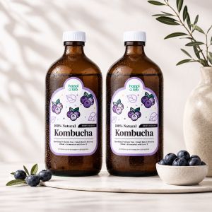 Happi Lab - Happi Kombucha (500ml)