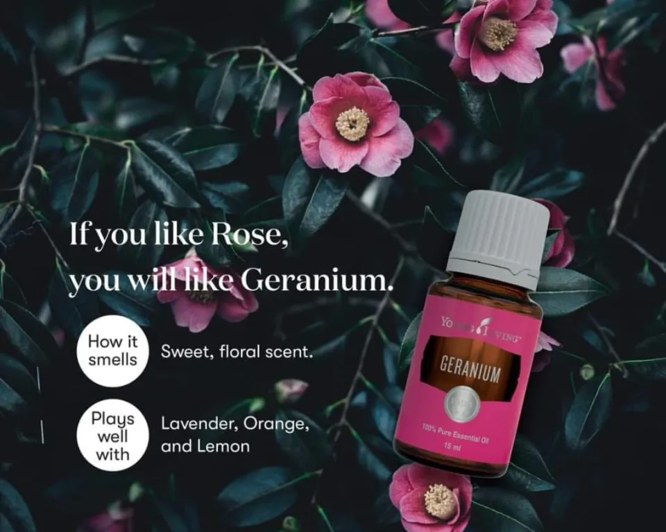 💯 Original - Young Living Geranium 15ml / 5ml Essential Oil | Lazada