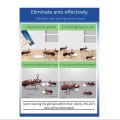 [SG Stock Ready] 12g Bayer Ant Killer/Bait Eliminate Ant Infestation Germany Product Kill Multiple Ant Species Gel Form. 