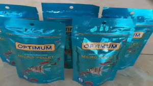 Cám Thailand - thức ăn cá cảnh OPTIMUM - lên màu hạt nhỏ cho cá ông tiên cá 7 màu cá beta la hán