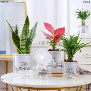 [COD] dgheg Lazy Hydroponic Flower Pot Automatic Water-Absorbing Flowerpot Transparent Double Layer Plastic Self Watering Planter Office