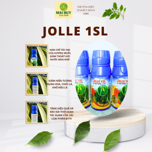 PHÂN JOLLE 1SL (Xanh lá mướt cây) - MAI HUY SINCE 2008