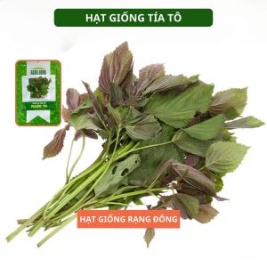 Hạt giống Tía Tô RADO 78 Túi 25g(~1400 hạt) Nảy mầm tốt Dễ chăm sóc | Hạt giống Rạng Đông