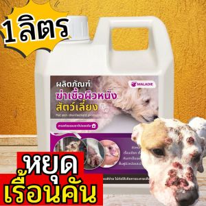 MD สเปรย์ป้องกันเห็บหมัด แก้ขี้เรื้อนสุนัข แมว เชื้อรา ยีสต์ ขนาด 1 ลิตร ลดอาการคันของสัตว์เลี้ยง สูตรอ่อนโยน  ฟื้นฟูผิวหนัง