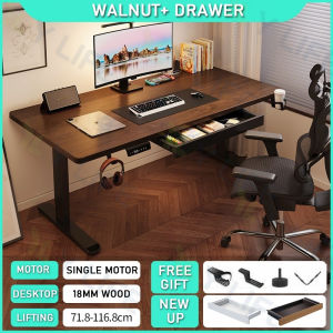 Smart Desk Ergonomic Standing Desk Electric Height Adjustable PC Gaming Desk Table Office Study Table Computer Desk