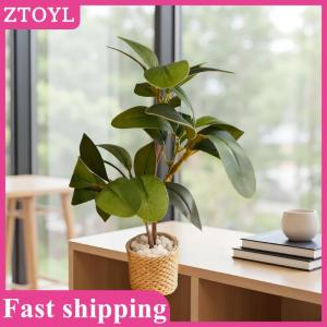 ZTOYL💝 1 6 Dollhouse Simulation Green Plant Potted Plants Model Dollhouse Home Scene Decoration Micro Landscape Garden Plant Ornaments