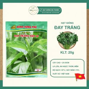 [EcoSeeds] Combo 2 Gói Hạt Giống Rau Đay Trắng - Sinh Trưởng Khỏe Năng Suất Cao - Gói 20g