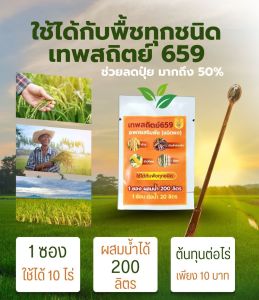 ปุ๋ยสุดประหยัด ผงดํา 2 กรัม ผงดําเทพสถิตย์ ของแท้ ใช้ได้ 10 ไร่ อาหารเสริมพีชฉีดทางใบ