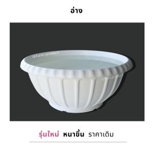 อ่างเลี้ยงปลา อ่างบัว กระถางต้นไม้ (อ่างนก) ตกแต่งสวน สไตล์อังกฤษ