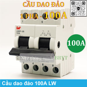 Cầu dao đảo 100A 1 pha – Cầu dao chuyển nguồn Cầu dao chuyển mạch Aptomat chuyển đổi 2 nguồn điện