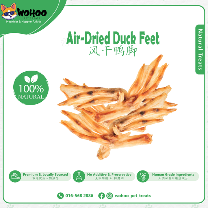 10pcs Dehydrated Duck Feet Dental Chew Healthy Pet Treats ...