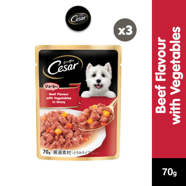 CESAR Dog Wet Food Pouch Beef Flavor with Vegetables in Gravy 70g (3 ...