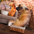 หมอนตุ๊กตา รูปสุนัขกอด ของเล่นสําหรับเด็ก ผู้ใหญ่ หมอนสุนัขจำลอง 3D, ของเล่นตุ๊กตาสุนัข, เบาะตุ๊กตาสุนัขจำลอง. 