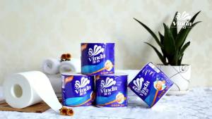 Vida Classic 4 Layer 140 Gram 10 Roll Paper   Tissue Hollow-Core Tube Tissue Cored Toilet Paper Roll Paper