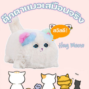 COD สนุกกอด เหมียว จําลองไฟฟ้าตุ๊กตาแมวตุ๊กตาพูดคุยตุ๊กตาสนุกซ้ําของเล่นเด็กน่ารัก