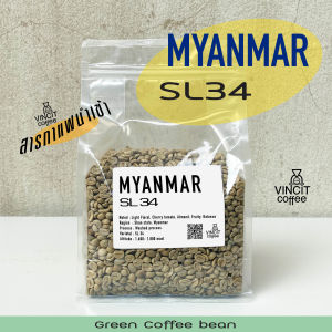สารกาแฟ SL34 Myanmar washed process เมล็ดกาแฟดิบ Green bean