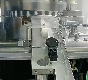 Fixed System GLP-1 Capsule CAPSULES Soft and Hard Capsule Health Supplements Hot Item OE M