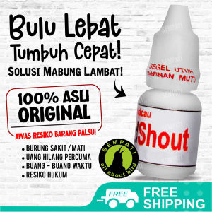 SEMPATI Bird Shout Om Kicau Obat Burung Sakit Macet Bunyi Pasca Mabung Kalah Mental Turun Tangkringan VSHOUOK
