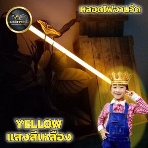 ยกลัง 30 หลอด ไฟงานวัด หลอดนีออนสี หลอด T8 18W หลอดไฟตกแต่ง หลอดไฟงานวัด เสียบปลั๊กไฟบ้านได้เลย สีสันสวยงาม