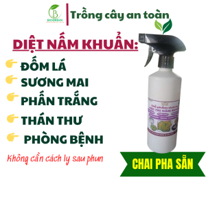 Diệt rầy rệp bọ trĩ nhện đỏ trên hoa hồng mai vàng cây ăn trái rau sạch biogreen 555 chai pha sẵn