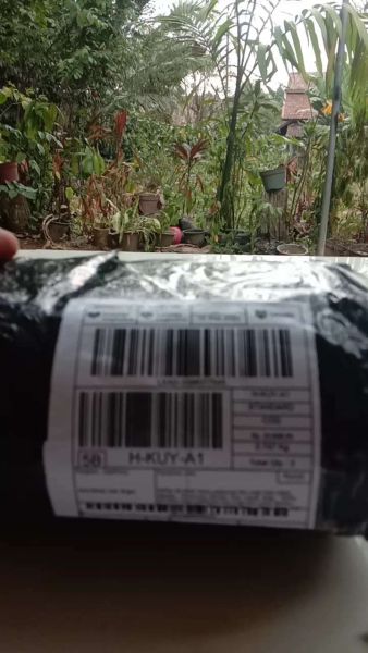 Buyer review video 2